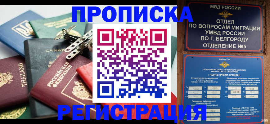 временная регистрация недорого в Ногинске